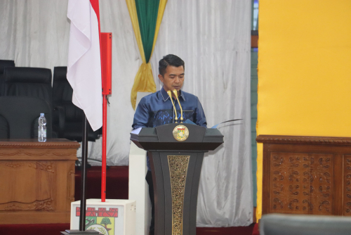 Nasdem Sampaikan 6 Catatan Penting soal LKPJ Bupati Kampar 2024, Ini Rinciannya