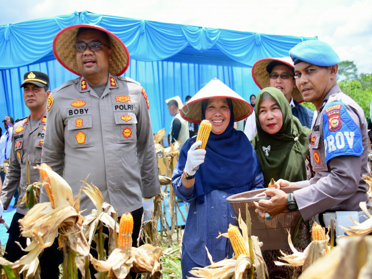 Bupati Kampar Dorong Swasembada Pangan Lewat Panen Raya Jagung